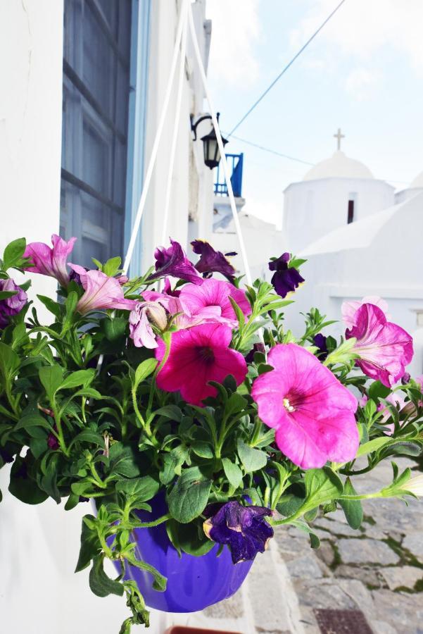 Thomas Traditional House In Chora Αμοργός Εξωτερικό φωτογραφία